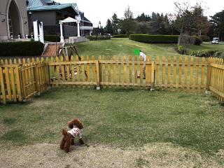 20130506_75.jpg