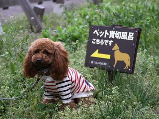 20130506_78.jpg