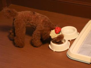 20130506_80.jpg