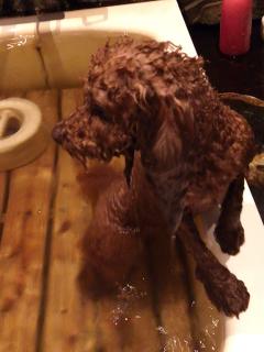 20130506_94.jpg