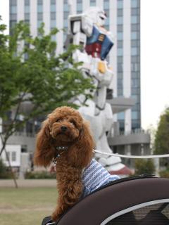 20130510_33.jpg
