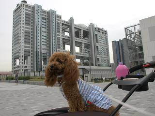 20130510_34.jpg