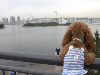 20130510_37.jpg