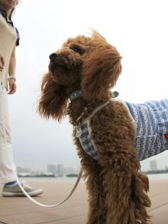 20130510_44.jpg