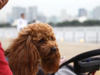 20130510_46.jpg