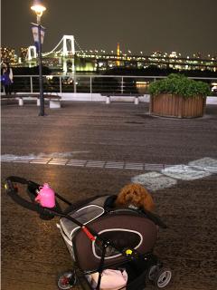 20130510_57.jpg
