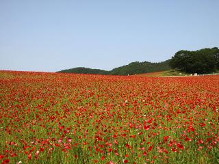 20130510_58.jpg