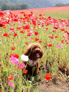 20130510_59.jpg