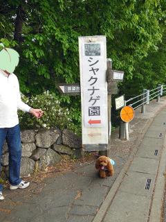 20130513_01.jpg