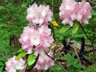 20130513_04.jpg