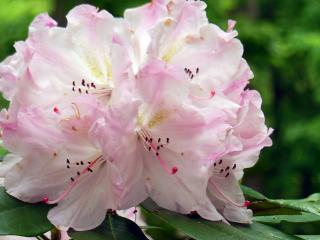 20130513_05.jpg