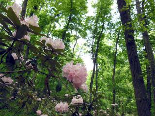 20130513_06.jpg