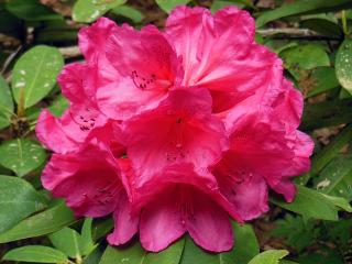 20130513_07.jpg