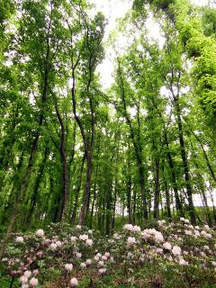 20130513_08.jpg