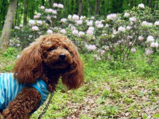 20130513_09.jpg