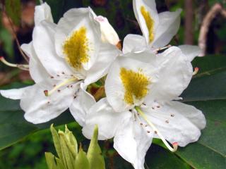20130513_11.jpg