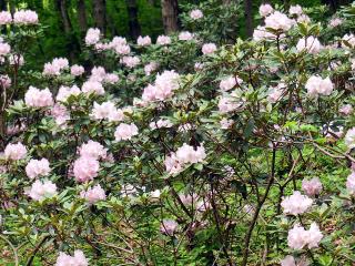 20130513_12.jpg