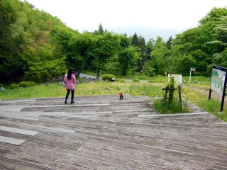 20130513_13.jpg
