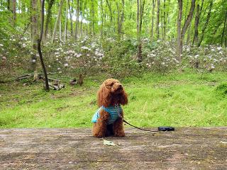 20130513_15.jpg