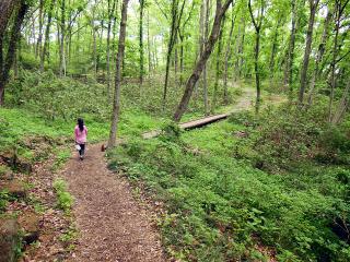 20130513_16.jpg