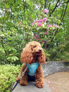 20130513_18.jpg