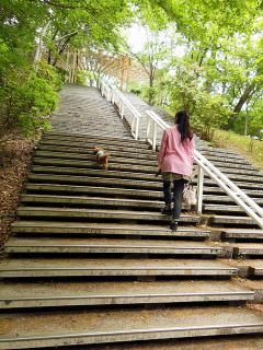 20130513_19.jpg