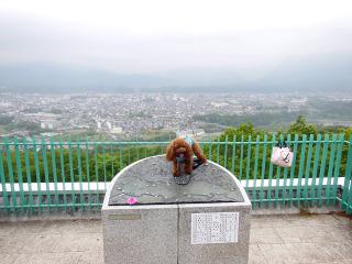 20130513_21.jpg