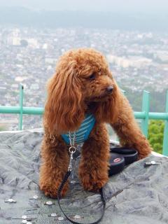 20130513_22.jpg