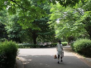 20130518_02.jpg