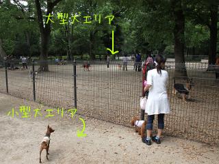 20130518_05.jpg