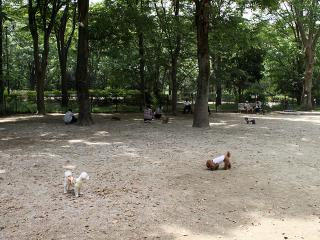 20130518_06.jpg