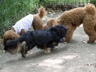 20130518_08.jpg