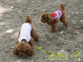 20130518_09.jpg