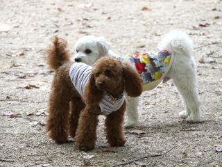20130518_10.jpg