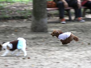 20130518_14.jpg