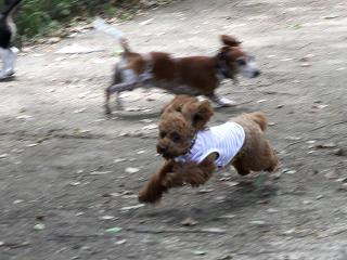20130518_15.jpg