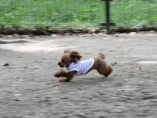 20130518_16.jpg