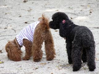 20130518_17.jpg