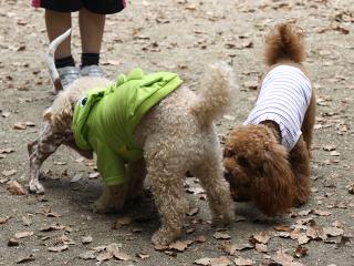 20130518_18.jpg