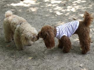 20130518_19.jpg