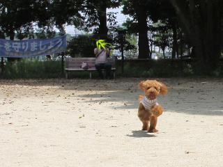20130518_20.jpg
