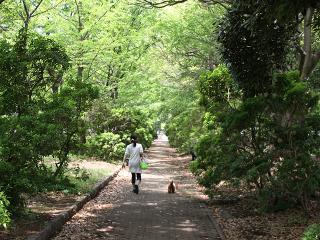 20130518_22.jpg