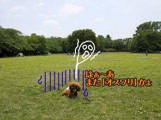 20130518_23.jpg