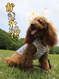 20130518_24.jpg
