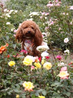 20130518_26.jpg