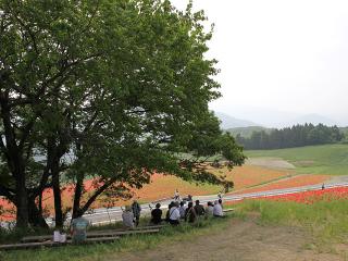 20130522_01.jpg