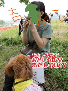 20130522_02.jpg