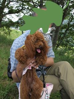 20130522_03.jpg