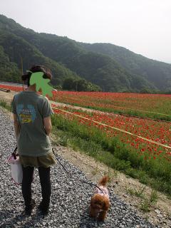 20130522_05.jpg