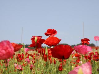 20130522_07.jpg